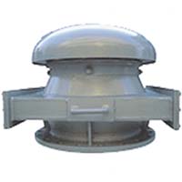 ����𣩺����˿�